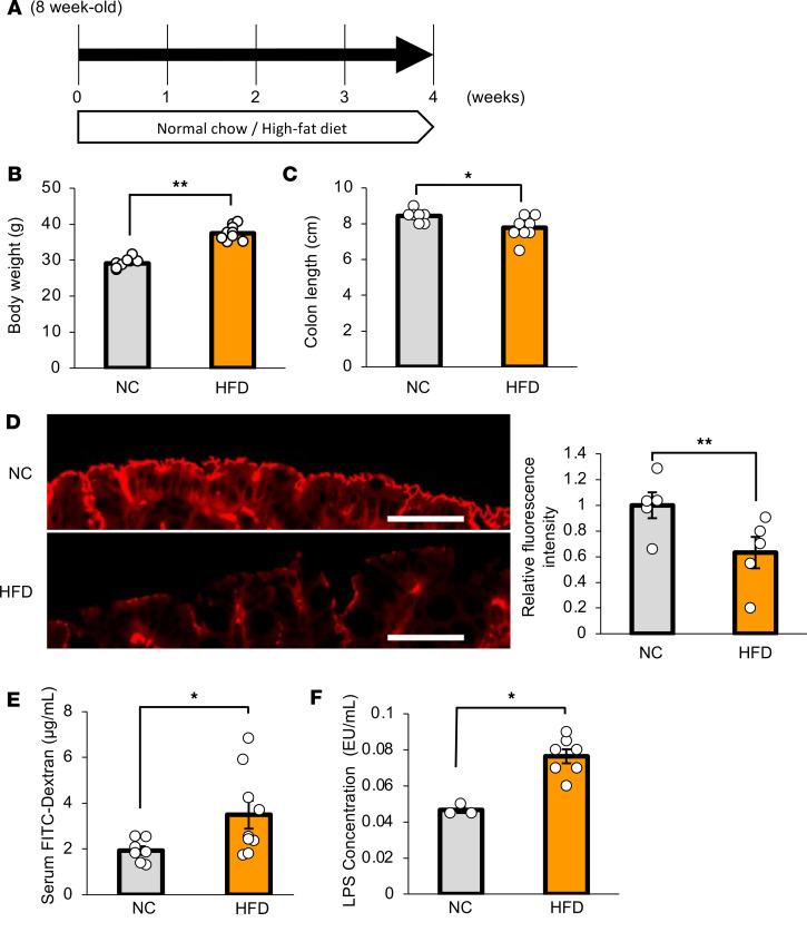 https://cdn.ncbi.nlm.nih.gov/pmc/blobs/0bec/12128978/aea5d6aeb0fc/jciinsight-10-183864-g057.jpg