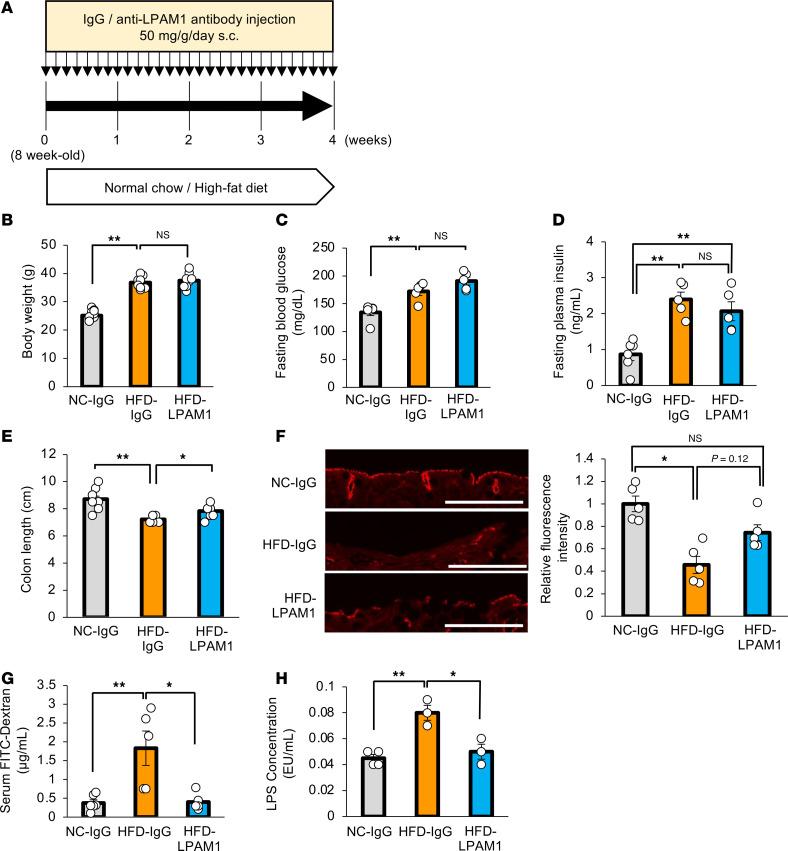 https://cdn.ncbi.nlm.nih.gov/pmc/blobs/0bec/12128978/c268ae267c04/jciinsight-10-183864-g046.jpg