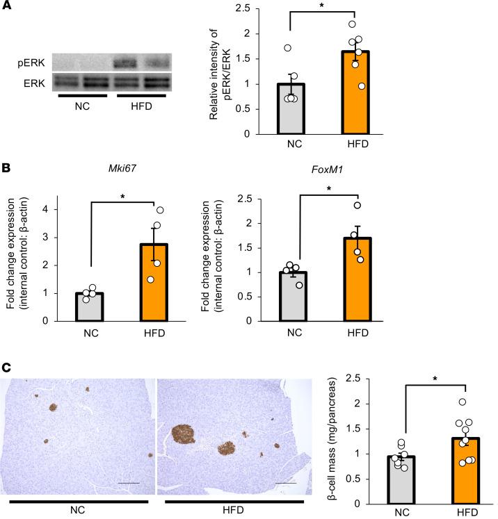 https://cdn.ncbi.nlm.nih.gov/pmc/blobs/0bec/12128978/ce65ee93df09/jciinsight-10-183864-g045.jpg