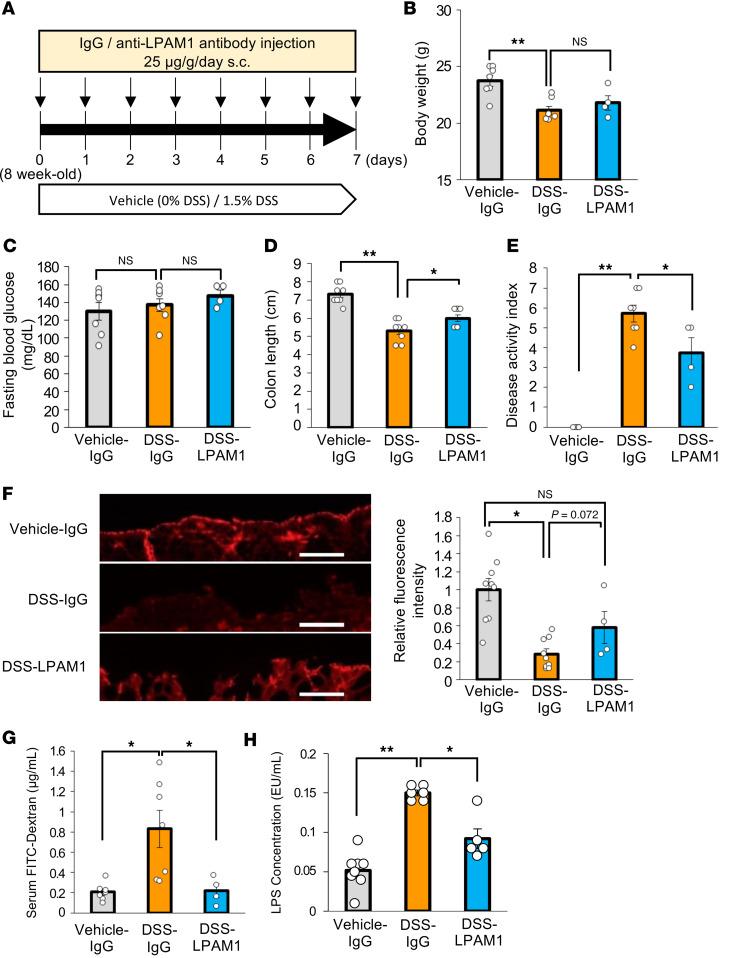 https://cdn.ncbi.nlm.nih.gov/pmc/blobs/0bec/12128978/d005ea0a6dbb/jciinsight-10-183864-g055.jpg