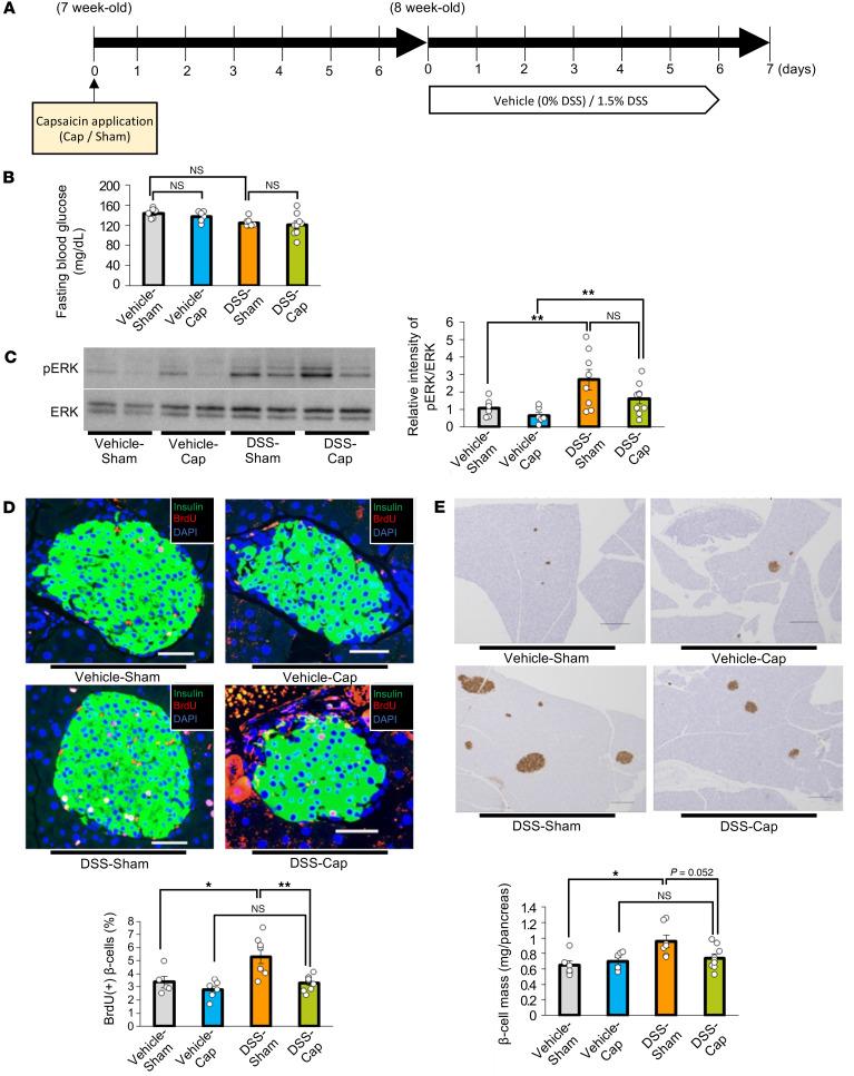 https://cdn.ncbi.nlm.nih.gov/pmc/blobs/0bec/12128978/e91d992b6ee0/jciinsight-10-183864-g053.jpg