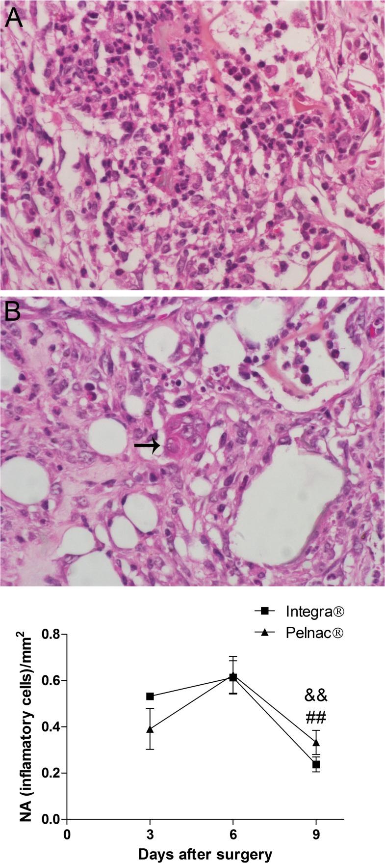 https://cdn.ncbi.nlm.nih.gov/pmc/blobs/0bed/4370513/43a27f389ab3/pone.0120322.g003.jpg