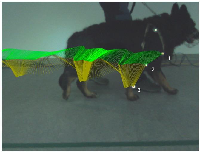 https://cdn.ncbi.nlm.nih.gov/pmc/blobs/0bef/10339997/582c49dcc385/animals-13-02195-g001.jpg