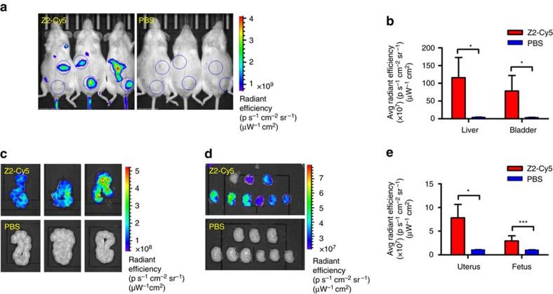 https://cdn.ncbi.nlm.nih.gov/pmc/blobs/0bef/5537589/25fb6786001c/ncomms15672-f4.jpg
