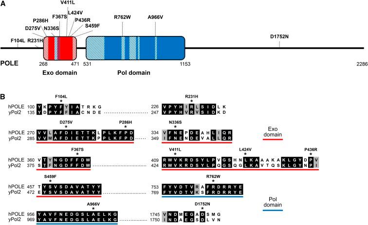 https://cdn.ncbi.nlm.nih.gov/pmc/blobs/0bef/5844290/18bffe8da443/1019f1.jpg