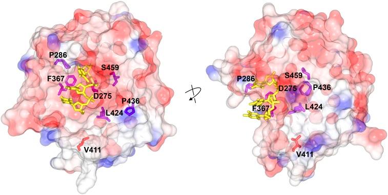 https://cdn.ncbi.nlm.nih.gov/pmc/blobs/0bef/5844290/b857bf162c13/1019f3.jpg