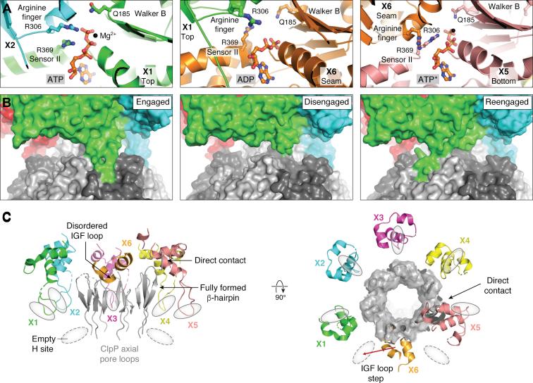 https://cdn.ncbi.nlm.nih.gov/pmc/blobs/0bf0/9035409/40e379c04f30/gr3.jpg