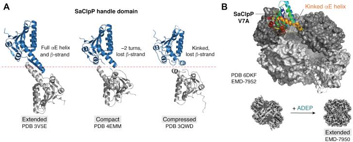 https://cdn.ncbi.nlm.nih.gov/pmc/blobs/0bf0/9035409/4ef4539e7353/gr7.jpg