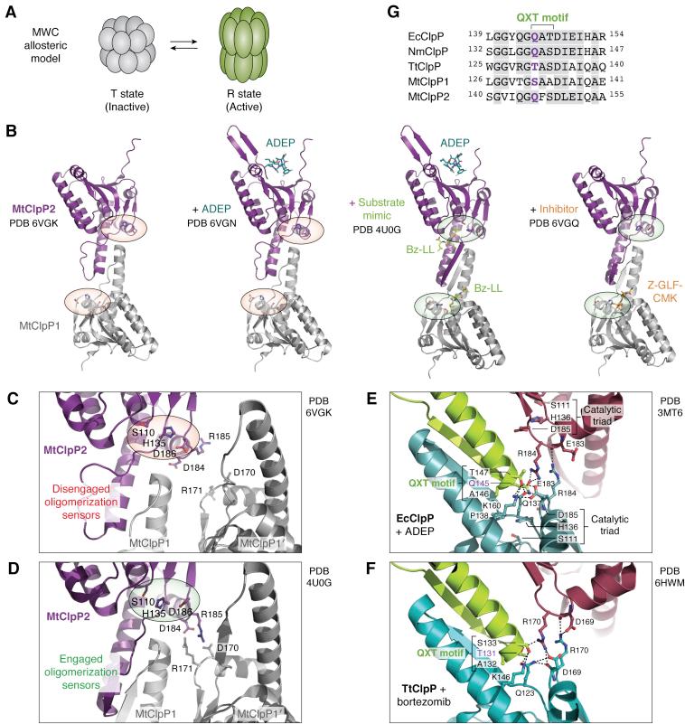 https://cdn.ncbi.nlm.nih.gov/pmc/blobs/0bf0/9035409/7a8a2c1e33b3/gr8.jpg