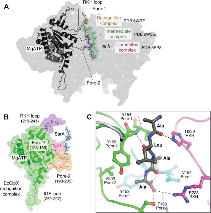 https://cdn.ncbi.nlm.nih.gov/pmc/blobs/0bf0/9035409/cf2ebcf173cb/gr4.jpg