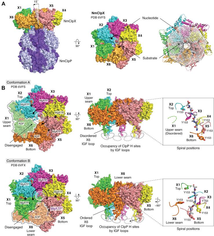 https://cdn.ncbi.nlm.nih.gov/pmc/blobs/0bf0/9035409/d5767249a544/gr2.jpg