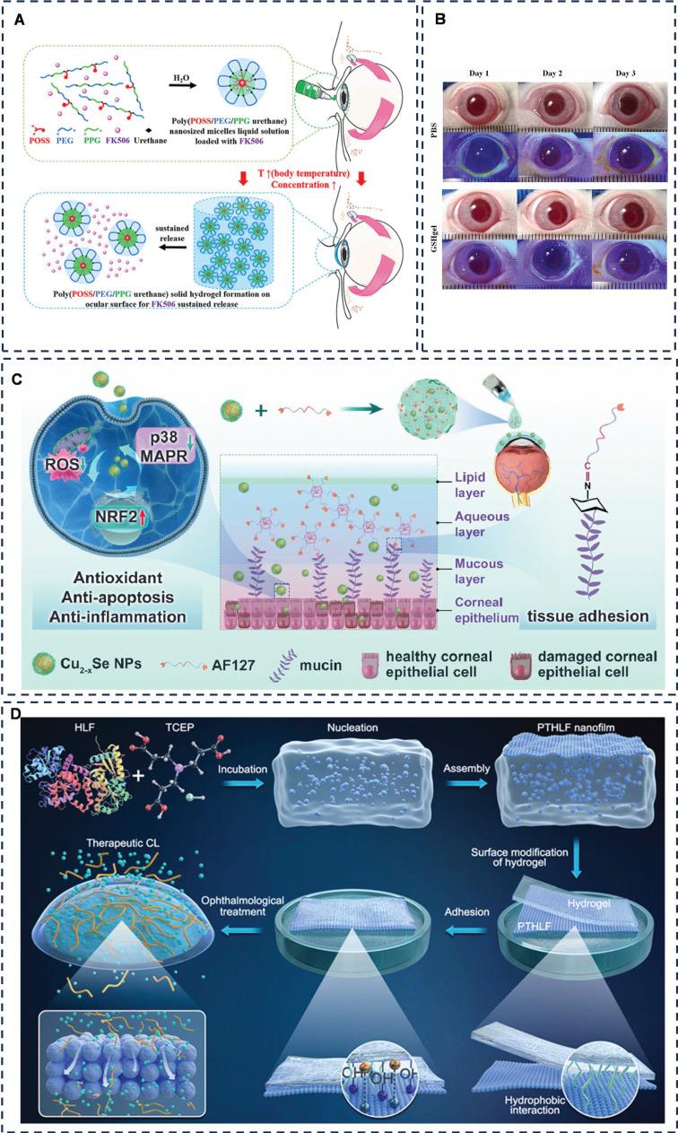https://cdn.ncbi.nlm.nih.gov/pmc/blobs/0bf1/11700875/c771d9ec8e9c/thnov15p0915g003.jpg