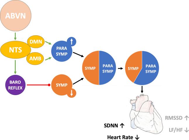 https://cdn.ncbi.nlm.nih.gov/pmc/blobs/0bf1/8183808/d7d194686d42/gr4.jpg