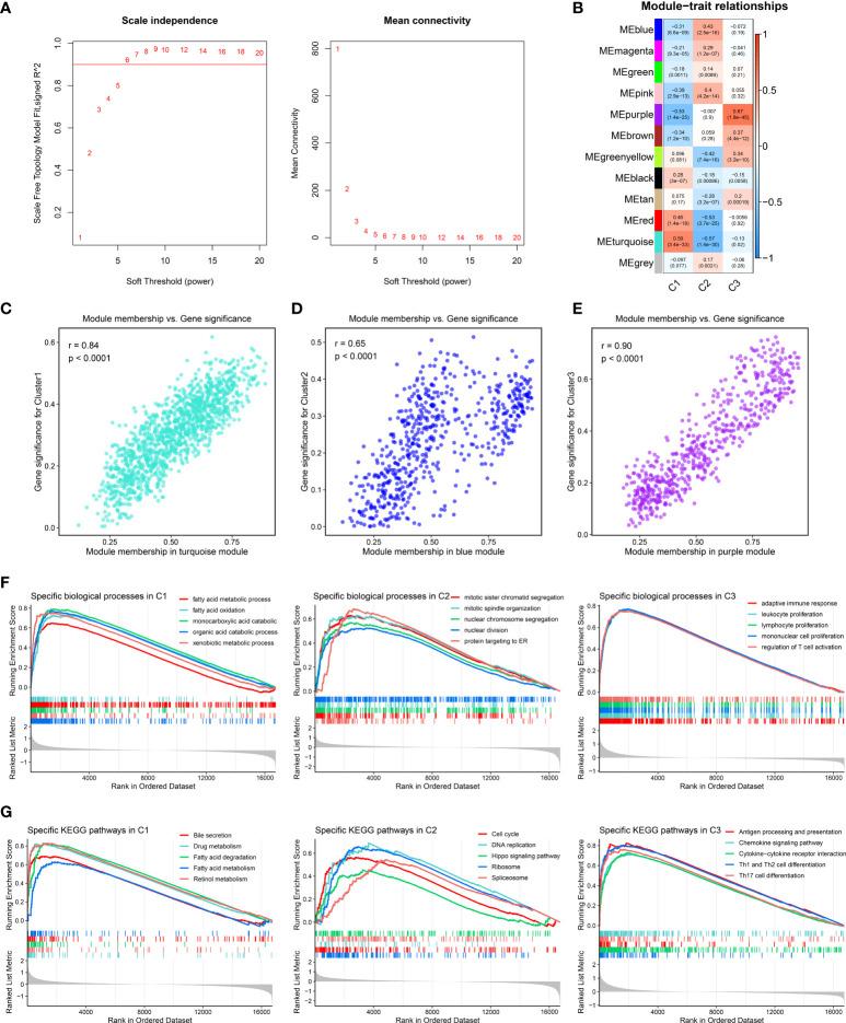 https://cdn.ncbi.nlm.nih.gov/pmc/blobs/0bf1/9363578/cbdc1271e58c/fimmu-13-964190-g004.jpg