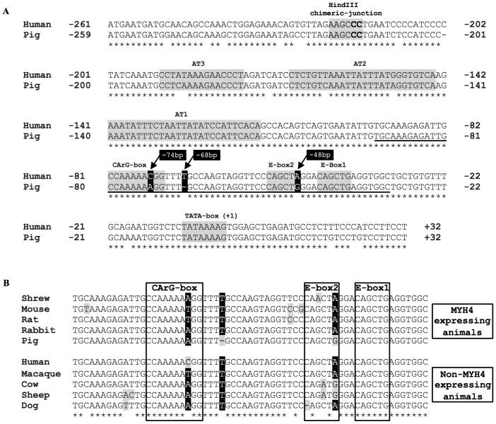 https://cdn.ncbi.nlm.nih.gov/pmc/blobs/0bf2/4255089/772f335f9f6c/pone.0114365.g005.jpg