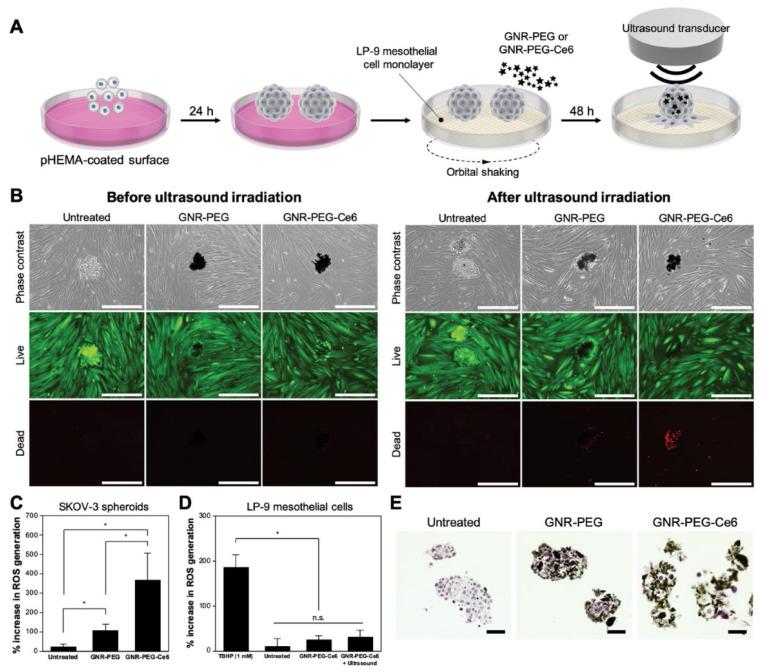 https://cdn.ncbi.nlm.nih.gov/pmc/blobs/0bf3/8899561/298a195044e2/thnov12p2290g004.jpg
