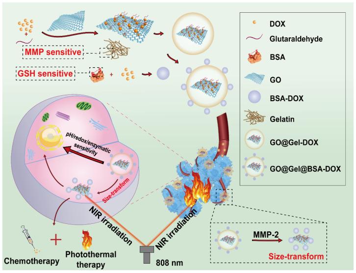 https://cdn.ncbi.nlm.nih.gov/pmc/blobs/0bf3/8899561/7b6edc12311b/thnov12p2290g005.jpg