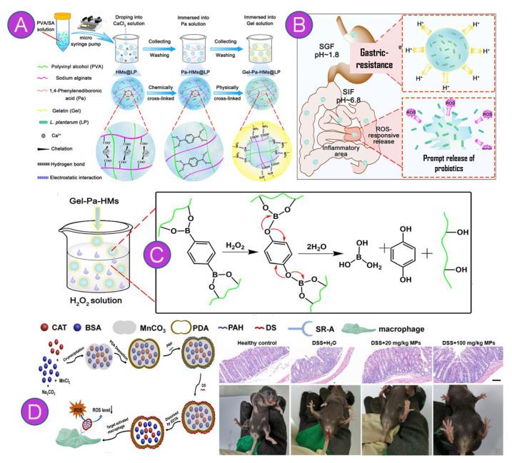 https://cdn.ncbi.nlm.nih.gov/pmc/blobs/0bf4/10674632/39778496b3c7/pharmaceutics-15-02600-g004.jpg