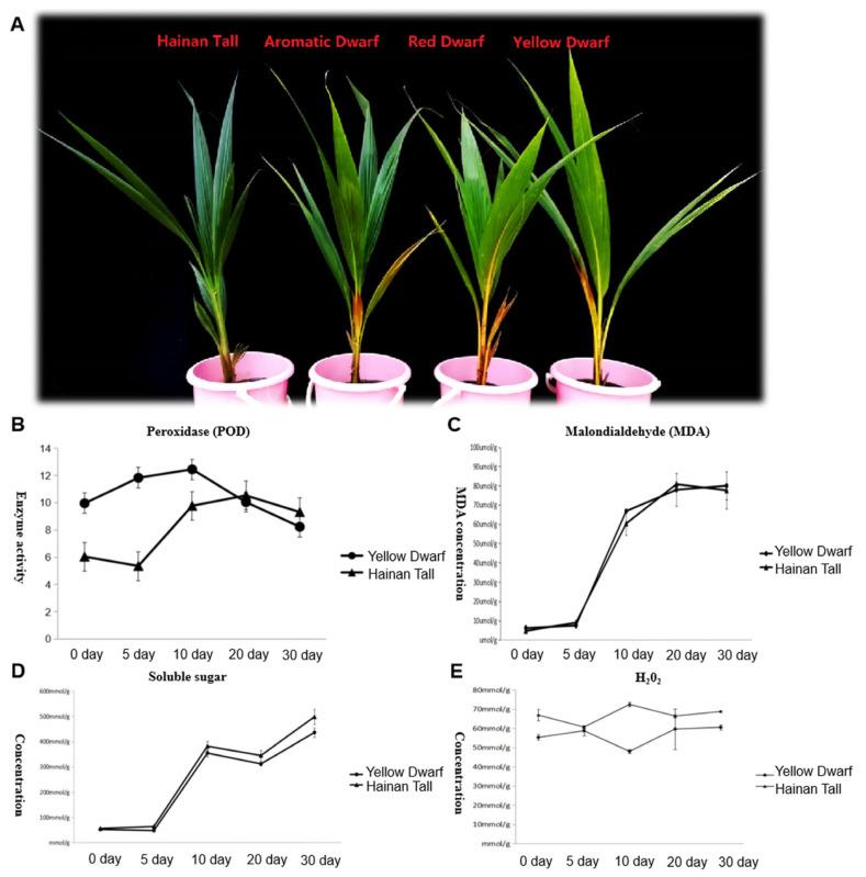https://cdn.ncbi.nlm.nih.gov/pmc/blobs/0bf4/10780918/0034753b4118/plants-13-00141-g001.jpg