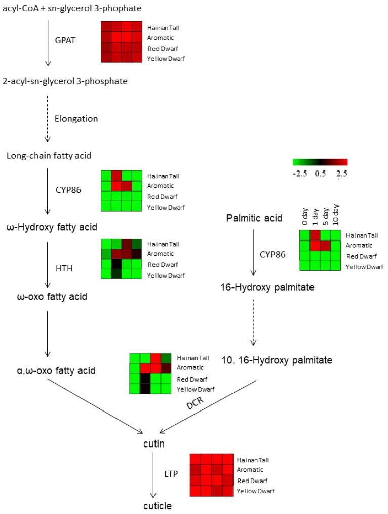 https://cdn.ncbi.nlm.nih.gov/pmc/blobs/0bf4/10780918/c777db443658/plants-13-00141-g003.jpg