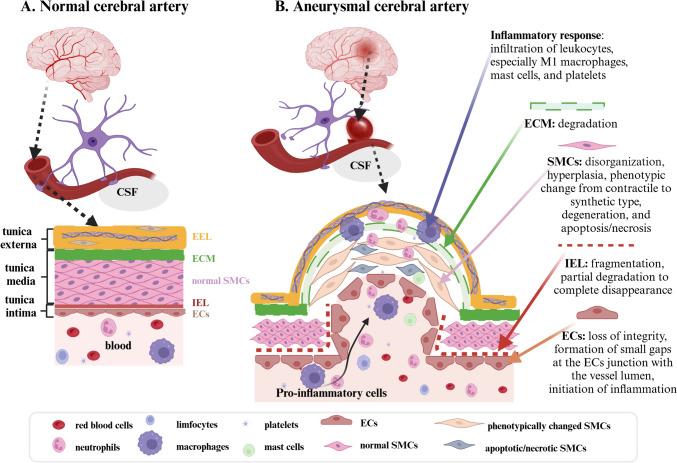 https://cdn.ncbi.nlm.nih.gov/pmc/blobs/0bf4/12092881/90cc6a346aa8/10571_2025_1572_Fig3_HTML.jpg