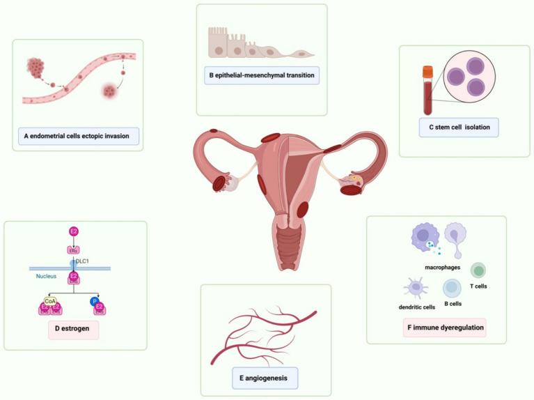 https://cdn.ncbi.nlm.nih.gov/pmc/blobs/0bf9/11937854/422fe241a964/fnut-12-1539665-g002.jpg