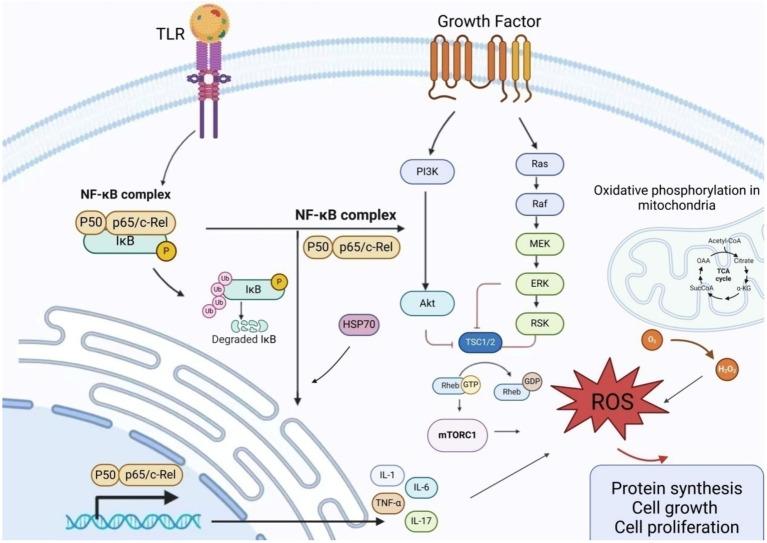 https://cdn.ncbi.nlm.nih.gov/pmc/blobs/0bf9/11937854/547df8f57480/fnut-12-1539665-g003.jpg