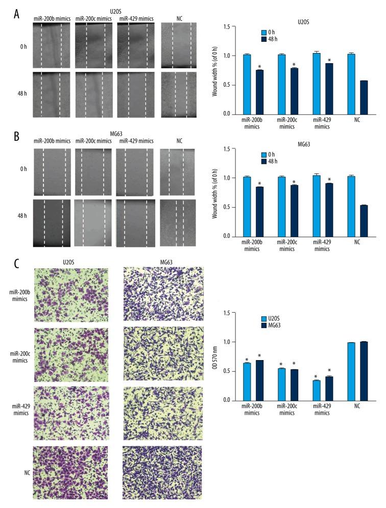 https://cdn.ncbi.nlm.nih.gov/pmc/blobs/0bf9/5338570/c6ac587e73a0/medscimonit-23-1001-g003.jpg