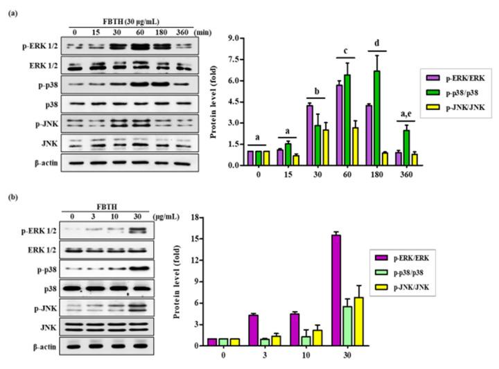 https://cdn.ncbi.nlm.nih.gov/pmc/blobs/0bf9/8945210/0417db4575fa/antioxidants-11-00599-g005.jpg