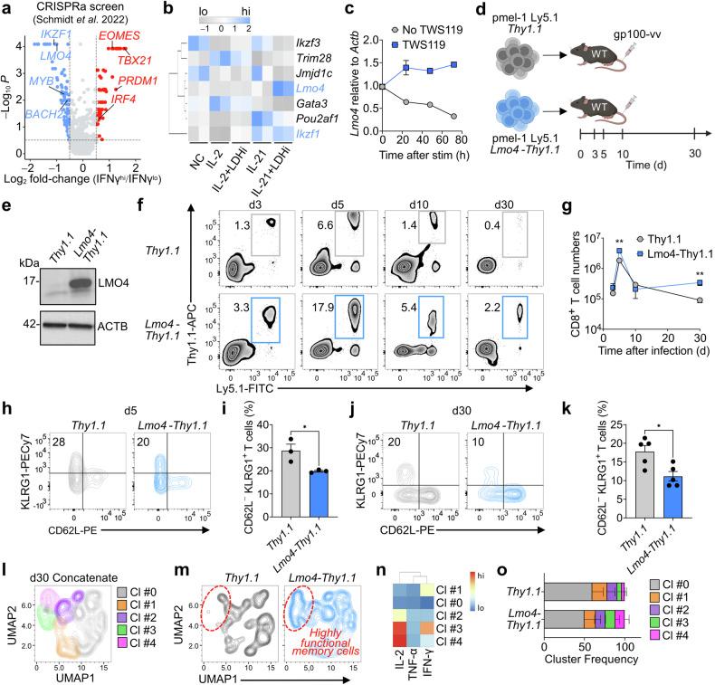 https://cdn.ncbi.nlm.nih.gov/pmc/blobs/0bfc/11310520/53e8ca1d3364/41392_2024_1915_Fig1_HTML.jpg
