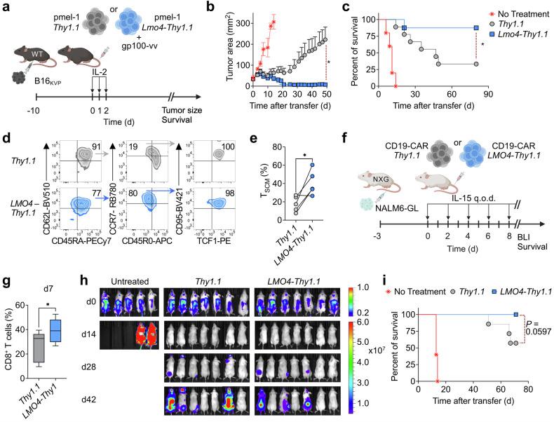 https://cdn.ncbi.nlm.nih.gov/pmc/blobs/0bfc/11310520/5ec2edbc9081/41392_2024_1915_Fig3_HTML.jpg