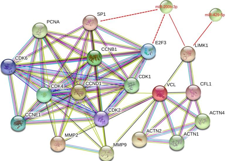 https://cdn.ncbi.nlm.nih.gov/pmc/blobs/0bfc/5689609/5f638b607c71/oncotarget-08-85276-g007.jpg