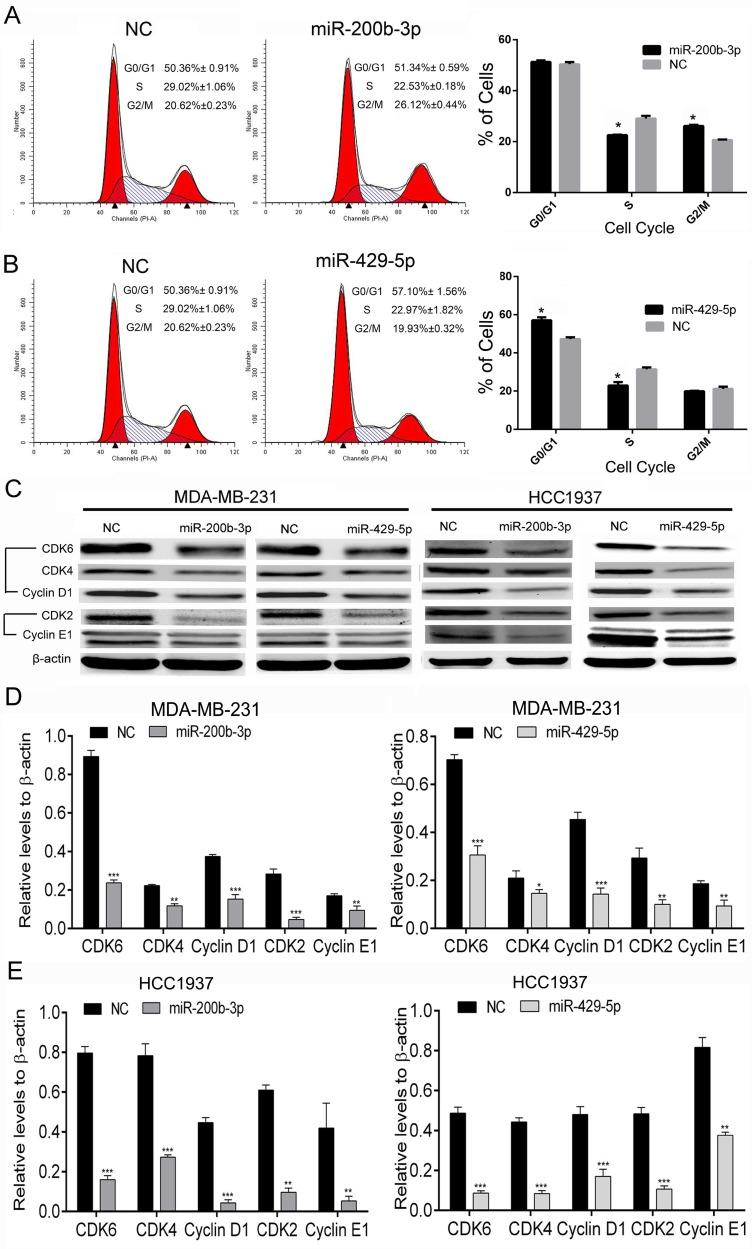 https://cdn.ncbi.nlm.nih.gov/pmc/blobs/0bfc/5689609/c269e50ff92b/oncotarget-08-85276-g006.jpg