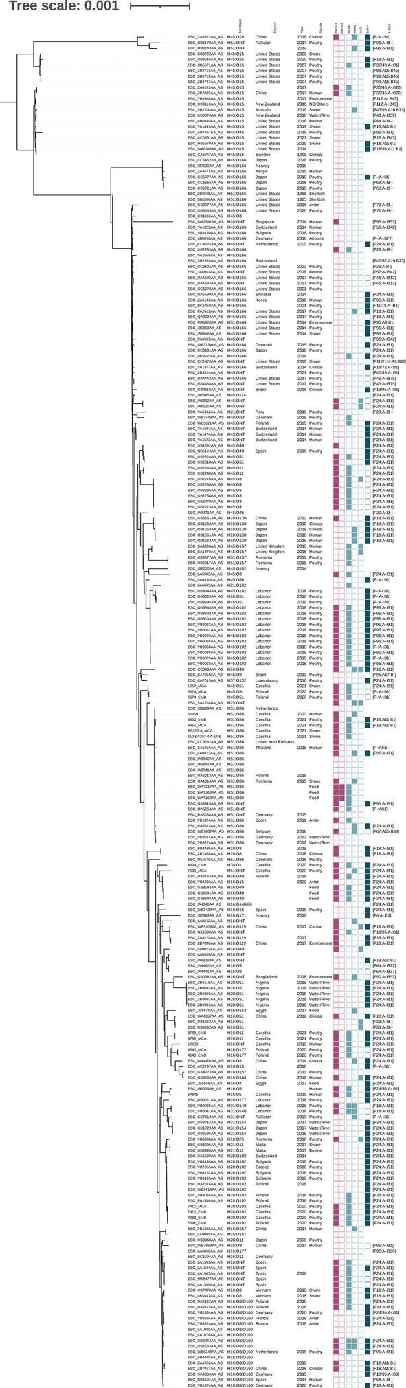 https://cdn.ncbi.nlm.nih.gov/pmc/blobs/0bfd/10580956/0e5241d4a58e/spectrum.00609-23.f003.jpg