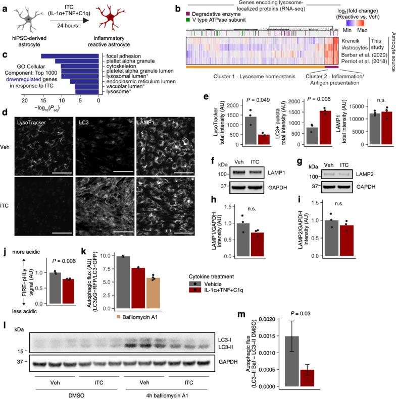 https://cdn.ncbi.nlm.nih.gov/pmc/blobs/0c02/11312292/51594b2ea23f/12974_2024_3165_Fig1_HTML.jpg