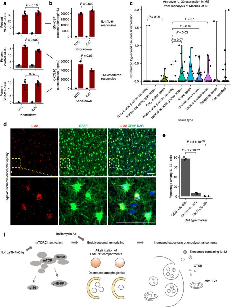 https://cdn.ncbi.nlm.nih.gov/pmc/blobs/0c02/11312292/d58a03573eee/12974_2024_3165_Fig6_HTML.jpg