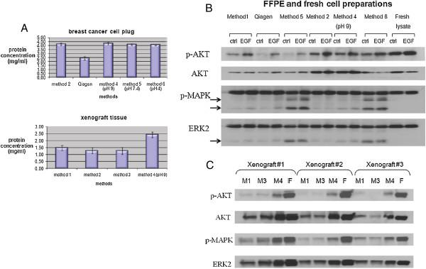 https://cdn.ncbi.nlm.nih.gov/pmc/blobs/0c03/3561137/bc5b5d27dd93/1477-5956-10-56-1.jpg