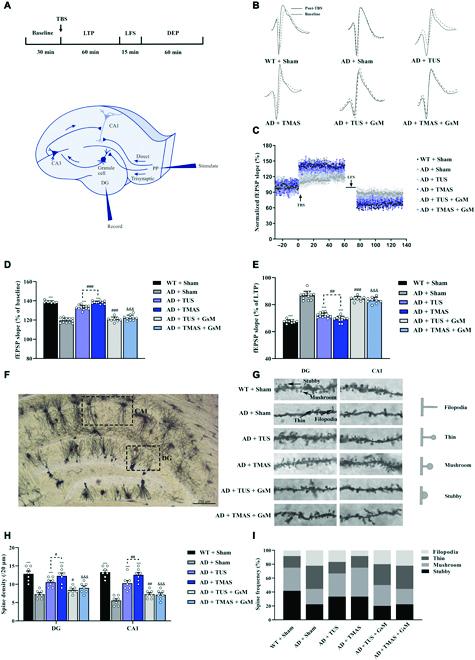 https://cdn.ncbi.nlm.nih.gov/pmc/blobs/0c04/10202414/5e87938417bd/research.0130.fig.003.jpg