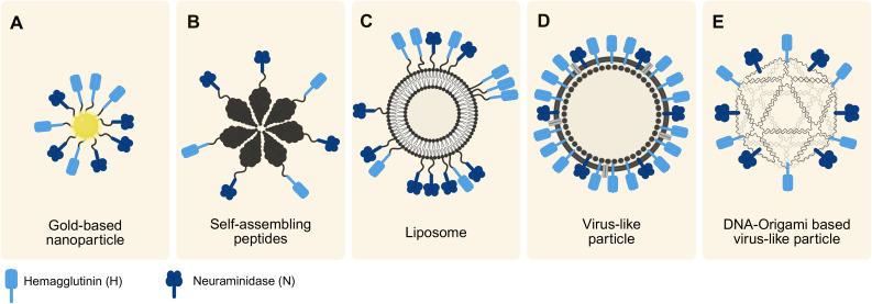 https://cdn.ncbi.nlm.nih.gov/pmc/blobs/0c04/12119590/7fd17d64d3ec/fcimb-15-1596955-g004.jpg