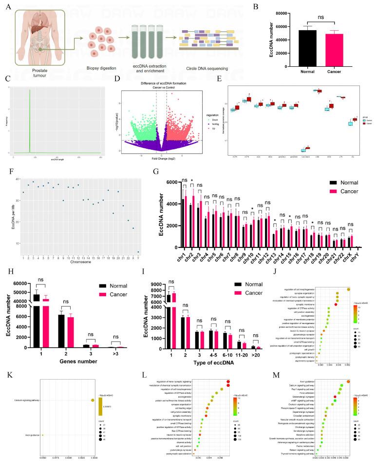 https://cdn.ncbi.nlm.nih.gov/pmc/blobs/0c05/12035891/9c92809c6bd2/ijbsv21p2843g001.jpg