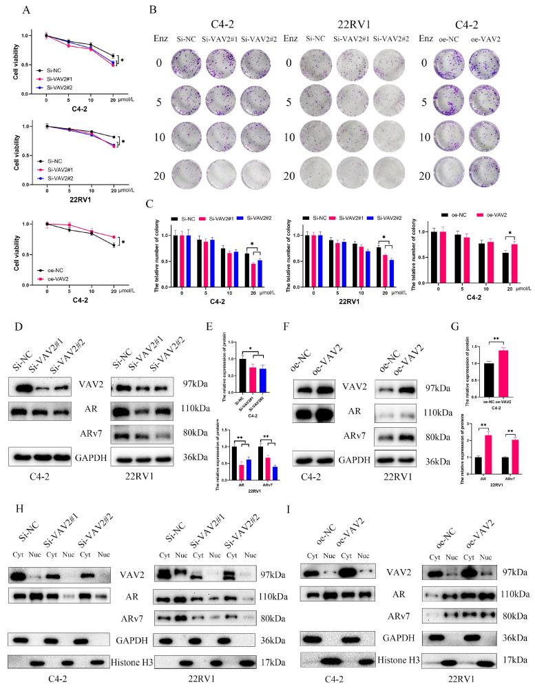 https://cdn.ncbi.nlm.nih.gov/pmc/blobs/0c05/12035891/c4539e52ada7/ijbsv21p2843g006.jpg