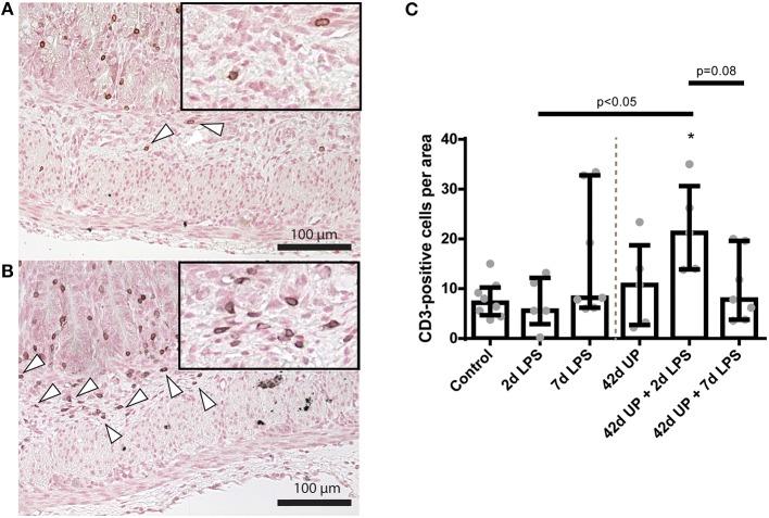 https://cdn.ncbi.nlm.nih.gov/pmc/blobs/0c0a/7089942/10eca49ae4d9/fimmu-11-00189-g0006.jpg