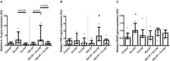 https://cdn.ncbi.nlm.nih.gov/pmc/blobs/0c0a/7089942/8f0dd80508a6/fimmu-11-00189-g0007.jpg