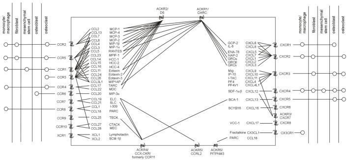 https://cdn.ncbi.nlm.nih.gov/pmc/blobs/0c0c/5573717/04477392f889/fimmu-08-01026-g001.jpg