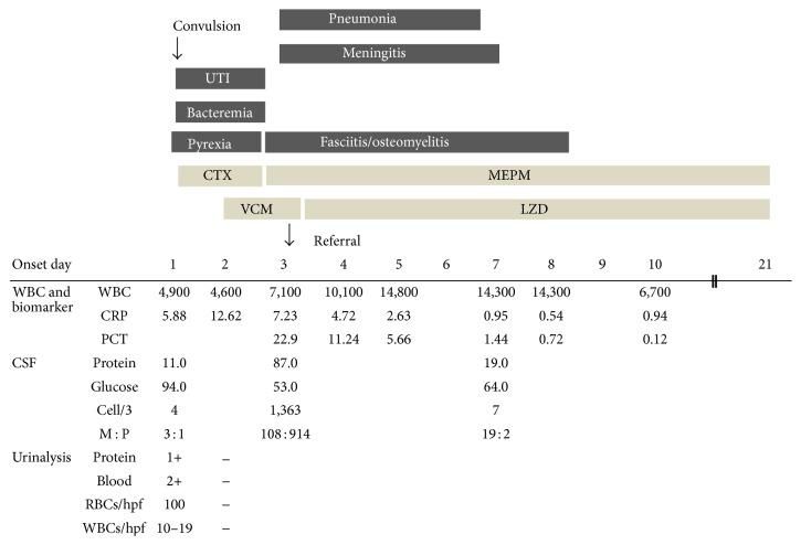 https://cdn.ncbi.nlm.nih.gov/pmc/blobs/0c0d/4706898/985c9270d2dc/CRIPE2015-291025.002.jpg