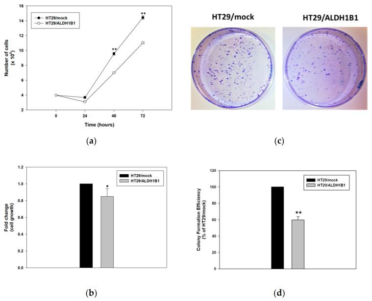 https://cdn.ncbi.nlm.nih.gov/pmc/blobs/0c0d/7825346/74f98e6e0dbe/biomedicines-09-00044-g003.jpg