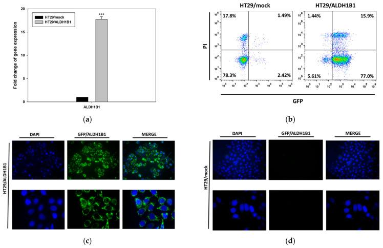 https://cdn.ncbi.nlm.nih.gov/pmc/blobs/0c0d/7825346/d7a3f976d647/biomedicines-09-00044-g001.jpg