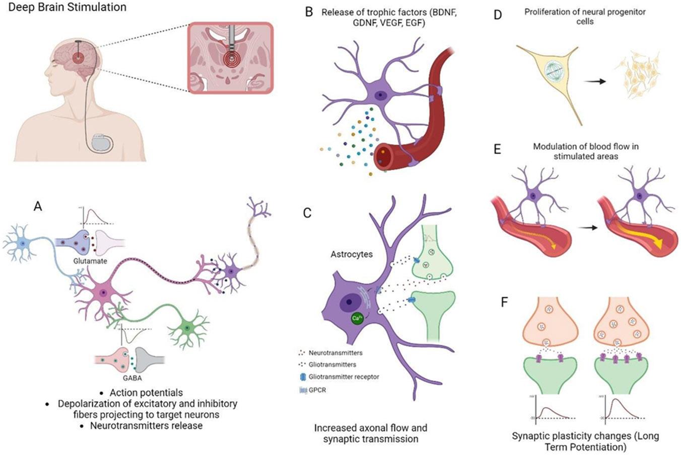 https://cdn.ncbi.nlm.nih.gov/pmc/blobs/0c0e/11687385/93a0468e898a/nihms-2041562-f0005.jpg