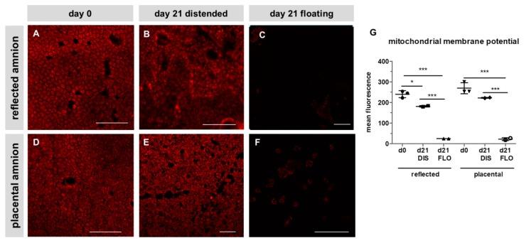 https://cdn.ncbi.nlm.nih.gov/pmc/blobs/0c0e/6953074/8580f1b60cde/cells-08-01641-g002.jpg