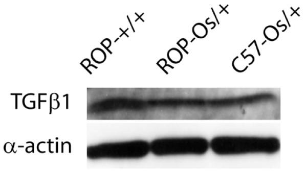 https://cdn.ncbi.nlm.nih.gov/pmc/blobs/0c11/3502501/30ae535e08e9/1471-2369-13-61-3.jpg